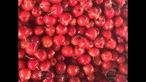 #Hexu Machinery# QH-C Automatic Cherry Stone Remove Core Pitting Machine