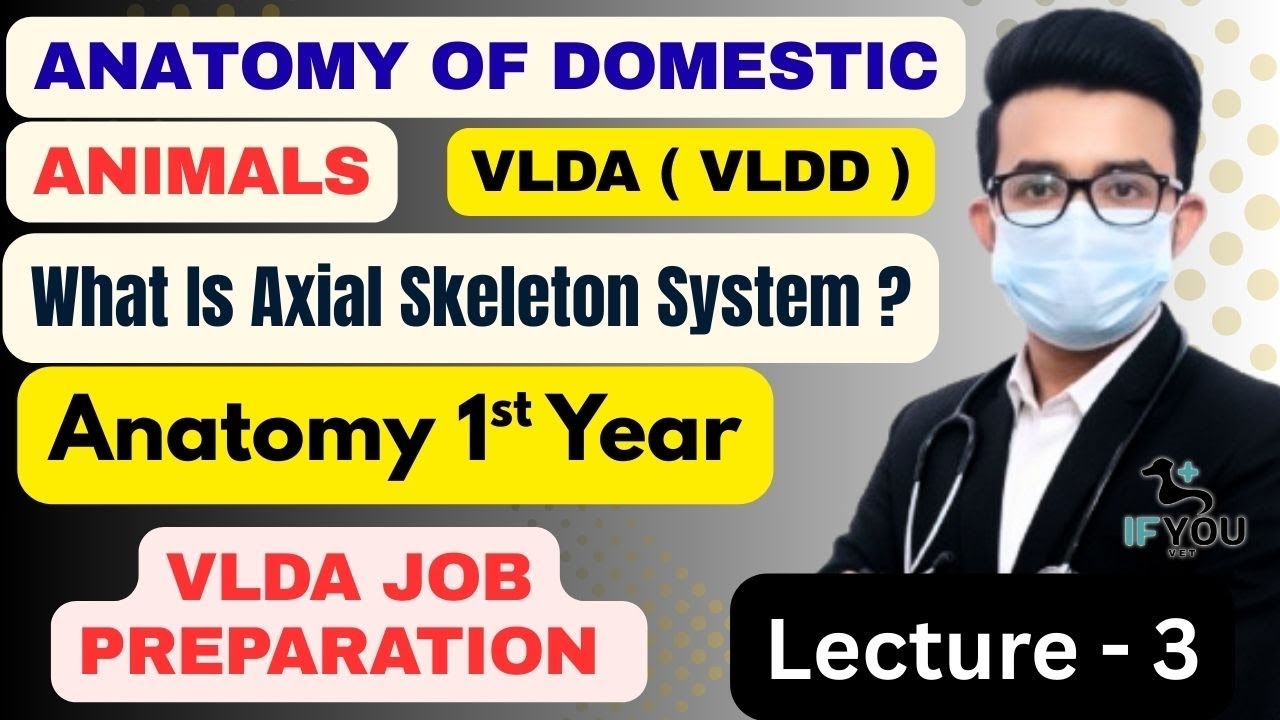 Anatomy Of Domestic Animals || VLDD - 1st Year || Lecture - 3 || Introduction of Anatomy || VLDD 