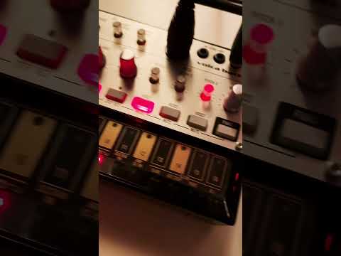 Volca Bass /