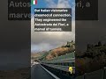 Ligurian Sea: Ancient Maritime Crossroads