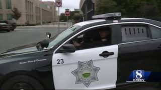 What Salinas Is About?