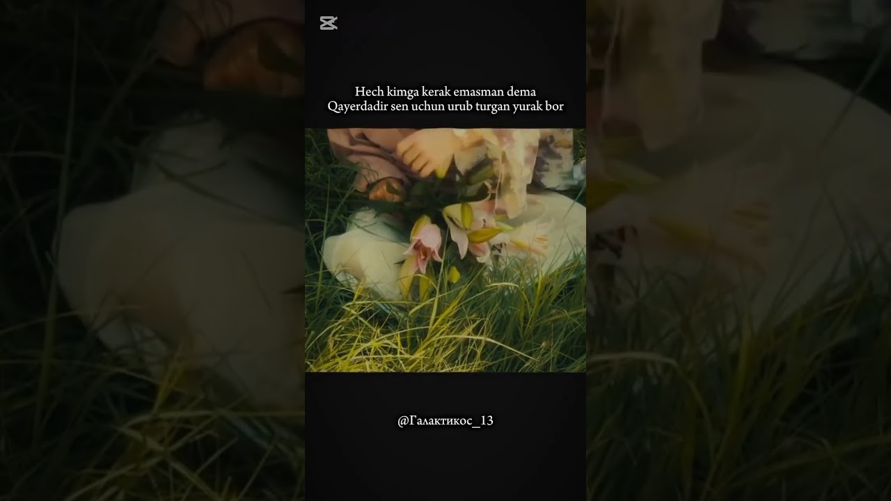 Rekda kõrsez🥝deng