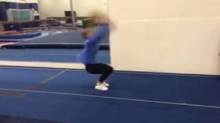 IMG 0108