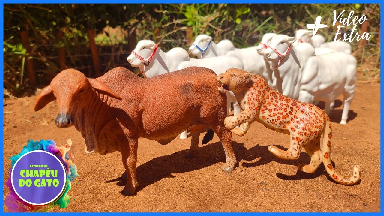 Onça Ataca a Vaca! Seu Juca Entrou em Ação para Salvar!