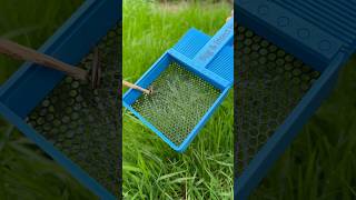 Insect & bug Catcher🕷️🪲#layerworks #insects #bugs #catch #3dprinting