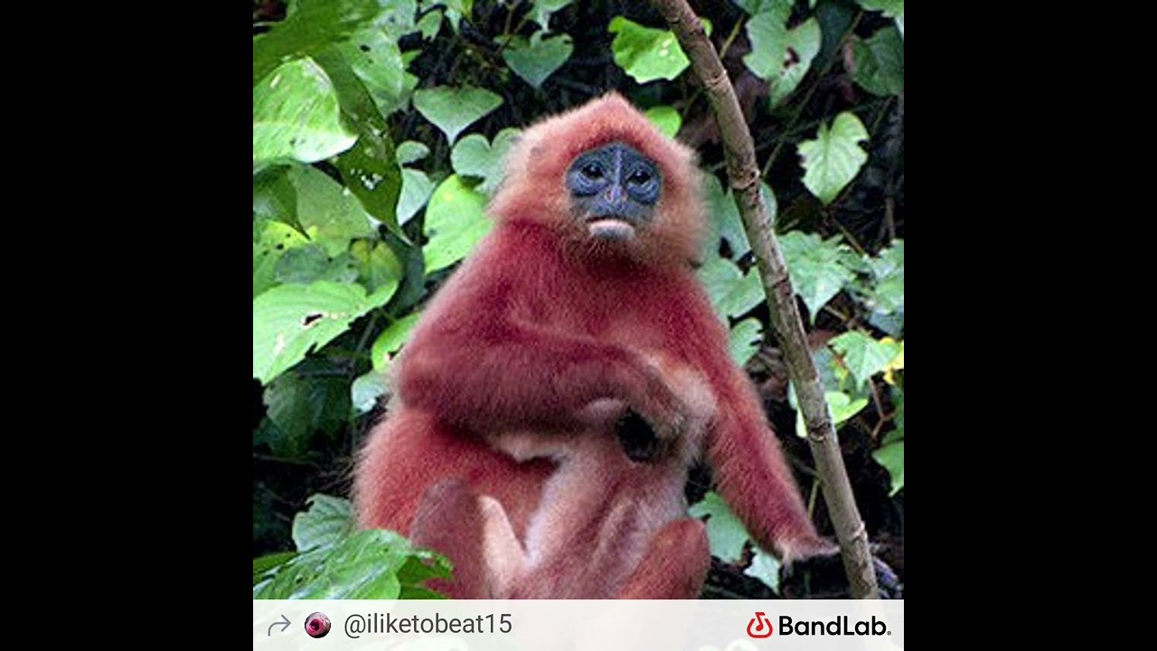 GAMMA MAX 2 (Prod. By ILikeToBeat)