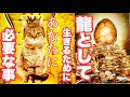 ⚠️地球で錬金ラスベガス💰️【本当のあなたが爆誕💥】あなたは地球と遊びに来た