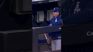 How'd he catch that flying bat?! 😂 #mlb #baseball #Dodgers #worldseries #yankees