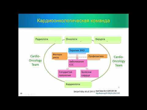 Противоопухолевая терапия и кардиотоксичность: случайное сочетание или характерная закономерность