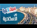 سمك في ميه في الاسكندرية جولة في مزرعة الانطوني لأسماك الزينة سمك في ميه في الاسكندرية جولة في مزرعة الانطوني لأسماك الزينة
