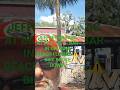 🦫☠️JEFFREY BRADAC AT THE BEAVER 🦫 BAR IN ORMAND BEACH FLORIDA ⚠️ BIKE BUSTED!!