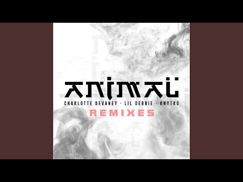Charlotte Devaney, Knytro - Animal (Jeff Nang Remix)