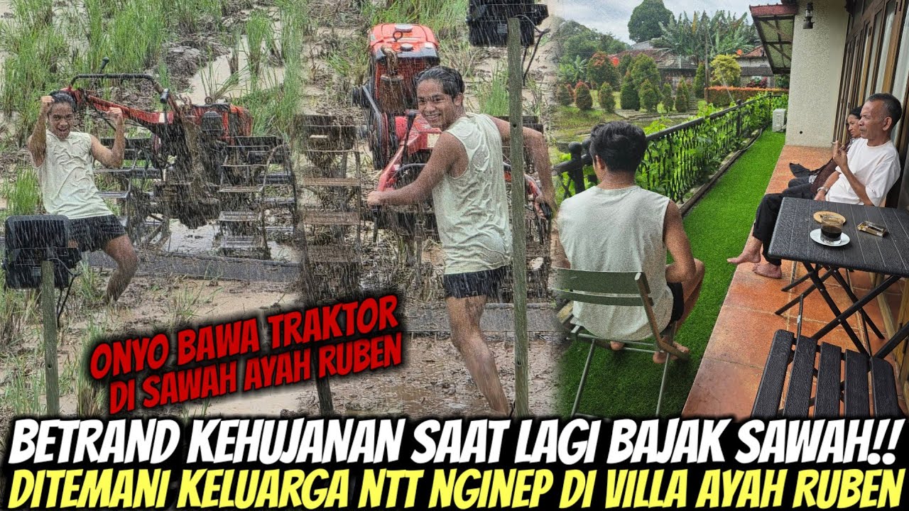 BETRAND DITEMANI AYAH KANDUNG DARI NTT!! SAAT BAJAK SAWAH SAMPAI KEHUJANAN DI VILLA AYAH RUBEN 