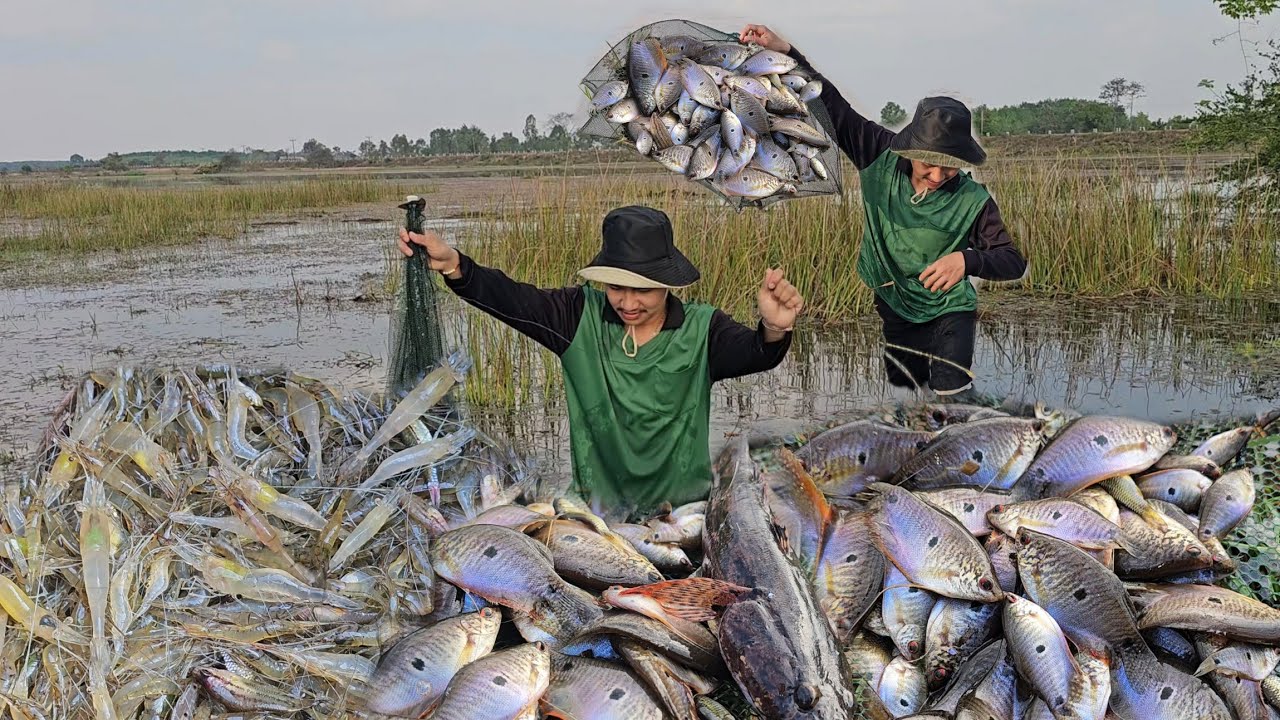 ดักกุ้งข้ามคืน เหยื่อนี้เข้าดีทุกหลัง กุ้งตัวใสๆปลากระดี่ปลาบู่ โอ้โห้อย่างหมาน 3/3/2569 