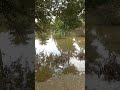 Hasilpur Punjab pakistan | subscribe 😍👍