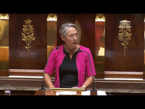 Borne à l'Assemblée nationale: 