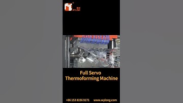 How Your Coffee Cups Are Really Made! ☕ | High-Speed Cup Forming | WYLONG MACHINERY