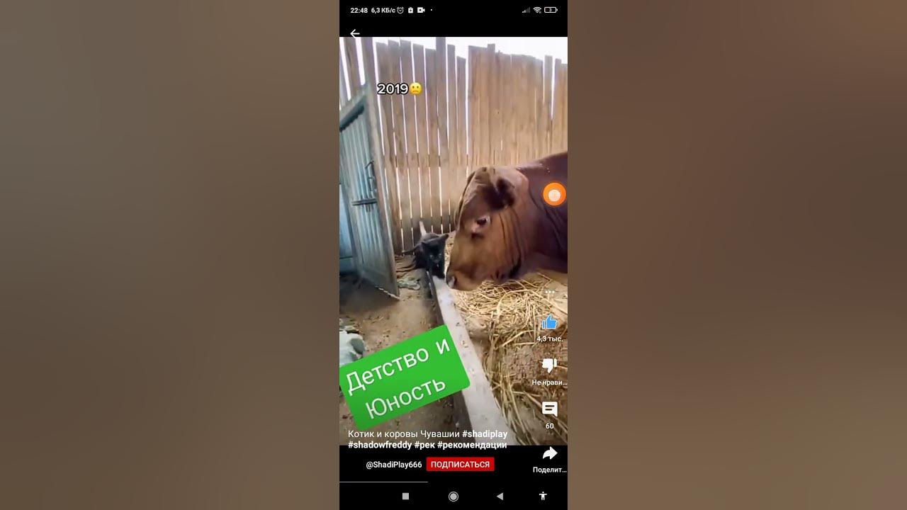 красивый мужчина в красивых трусах)😎 - YouTube