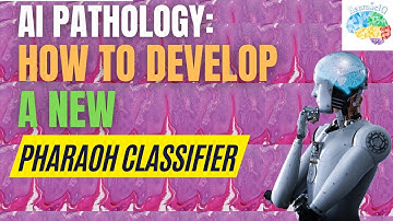 AI Pathology: How to Develop a New Pharaoh Classifier