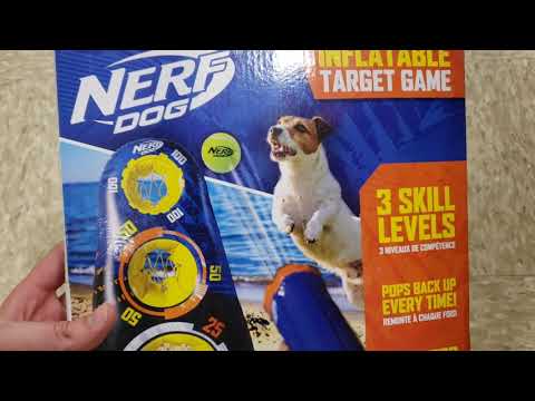 Nerf Dog Tennis