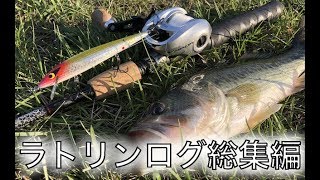 ラトリンログ】良く釣れる SMITHWICK RATTLIN ROGUE - YouTube