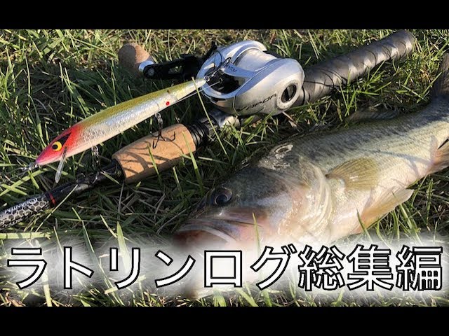 ラトリンログ】良く釣れる SMITHWICK RATTLIN ROGUE - YouTube