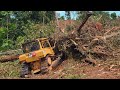 See the power of this cat d6r xl bulldozer spewed out while working to open new land for plantations