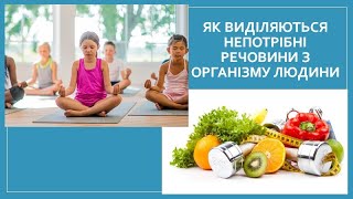 Як виділяються непотрібні речовини з організму людини