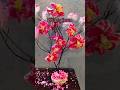 How to Make a Beautiful Cherry Blossom Tree DIY 🌸✨ #diy #craft #craftideas #art #cherryblossom
