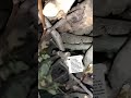 Українка розказала, як гріється пічкою