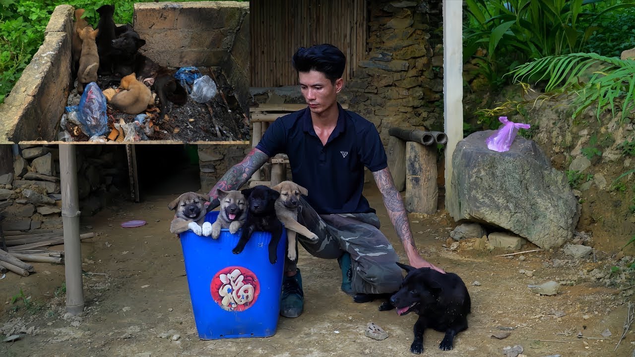 Thanh Phat's new life after leaving the gang and returning to his hometown