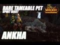 World of Warcraft - Taming ANKHA (Spirit Beast)