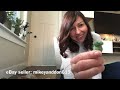 Birthday Gift Unboxing, Visit to Alsip Garden Center and New Succulent and Tropical Plants