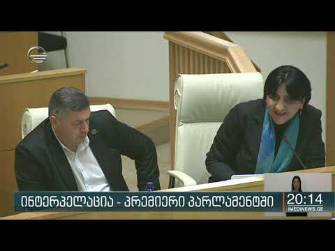 ინტერპელაცია - პრემიერი პარლამენტში
