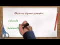 PALABRAS HOMÓFONAS:2°C