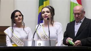 Município de Ouro divulga no parlamento a 36ª Festa do Colono