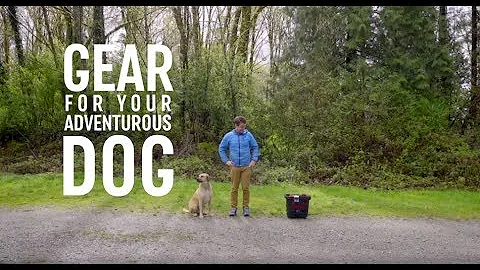 MEC Gear Spotlight | Gear for Adventure Dogs