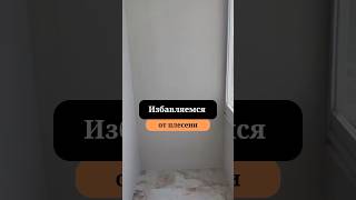 Как обработать стены от грибка на балконе | Комплексный ремонт квартир | Сан-Рем-Мастер