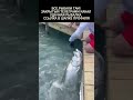 Покормил рыбку #рыбак #fishing #рыбалка #рыба