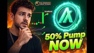 Algorand Algo Pumping 50% What Does This Mean?