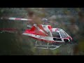 HELIPORTAGE TERRE ET ARBRE & CO