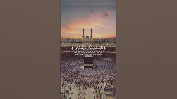 تلاوة هادئة تريح القلب🌸 #القران_الكريم #المصحف #تلاوة_خاشعة #قناة_القارىء_اسلام_صبحي #elmulquranعلم