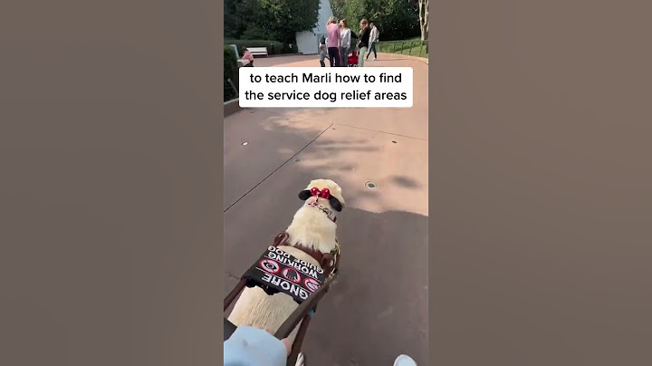 How Guide Dogs find places for the Blind