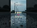 내일의 나에게 | 오늘의 나에게 다정해지는 연습 #ai #카페 #플레이