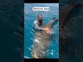 what a big fish. #fishing #bigfish #viral #trending #shortsfeed #virulshorts #reels #shorts #new