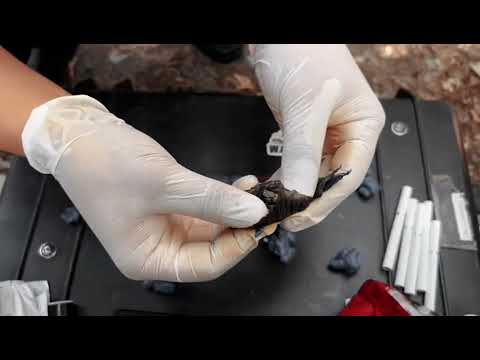 БҚО полицейлері есірткі жасырумен айналысқан студентті ұстады