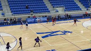 Helotes Echo Live Stream