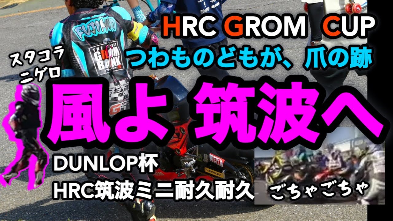 【大一番　筑波グロム】DUNLOP杯・筑波ミニ耐久で夏の勝負どころ　#honda #grom #125cc #msx #racing #グロムカップ #筑波サーキット #モトブログ
