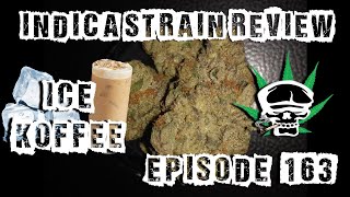 Ice Koffee- Indica Strain Review