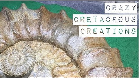 How to Prep Fossils with Basic Tools, Ammonite Restoration,, ep 5